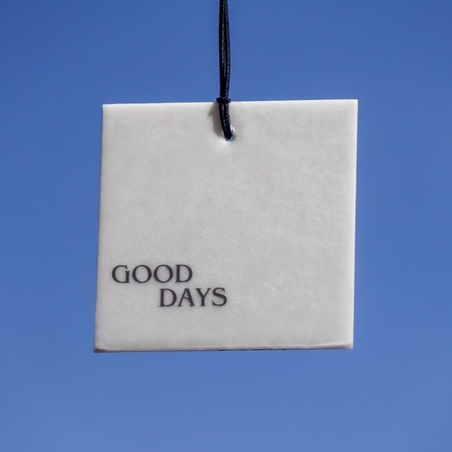 Coconut Car Air Freshener